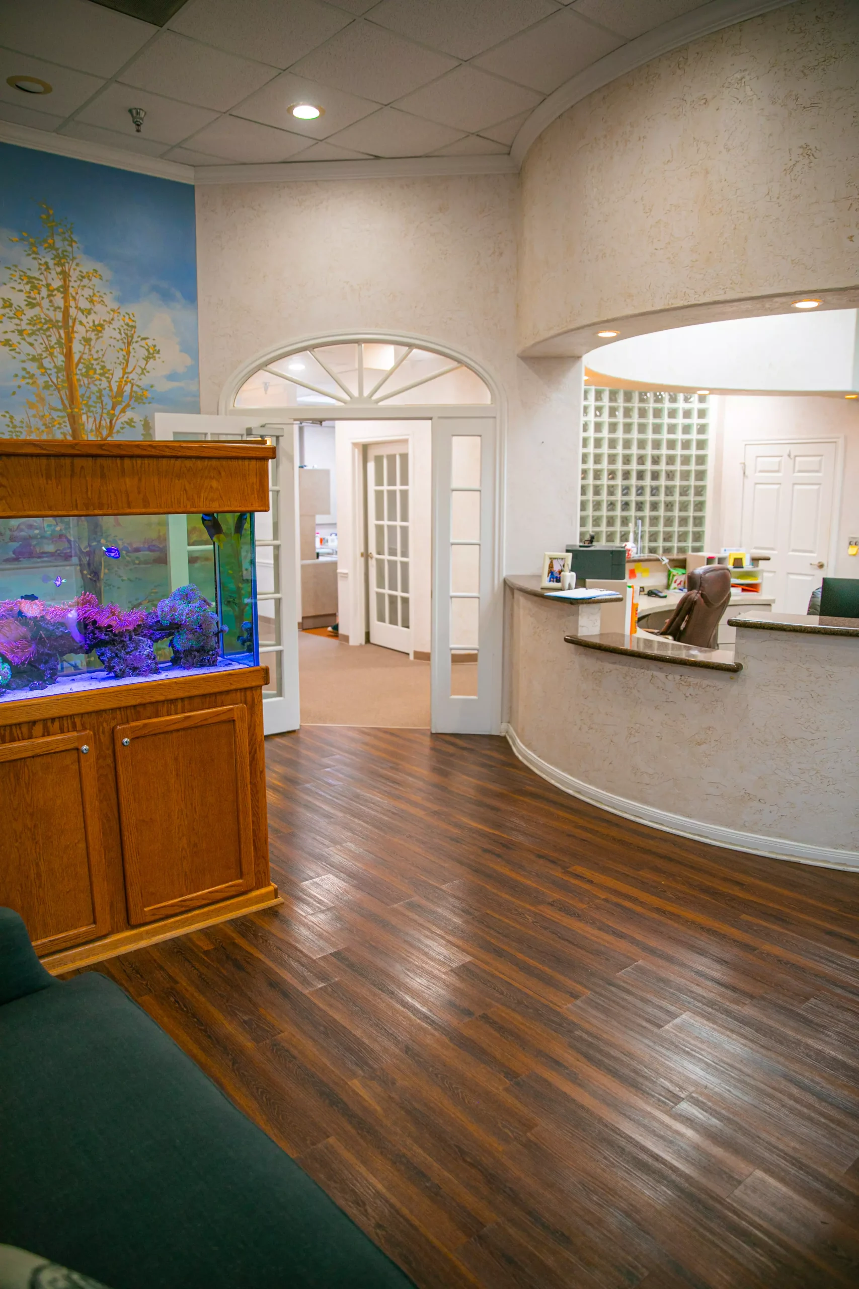 Dentist in Humble, TX